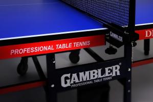 Теннисный стол Gambler Dragon Blue